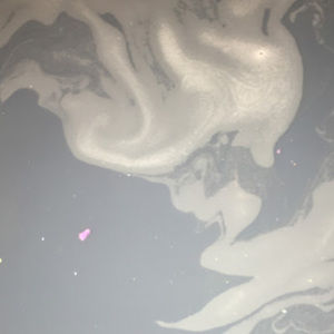 Meet your Posher, Molly